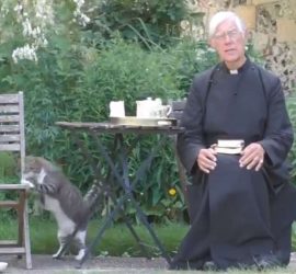Кот-хулиган лишил завтрака священника во время молитвы